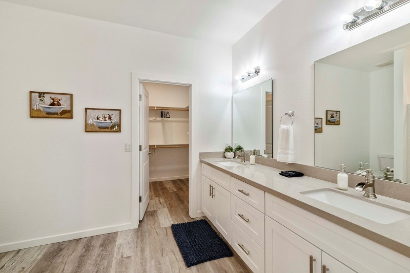 Primary bath vanity and walk-in closet